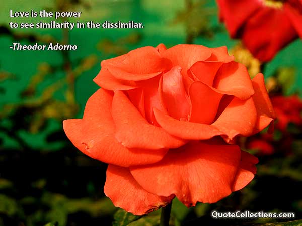 Theodor Adorno Quotes6